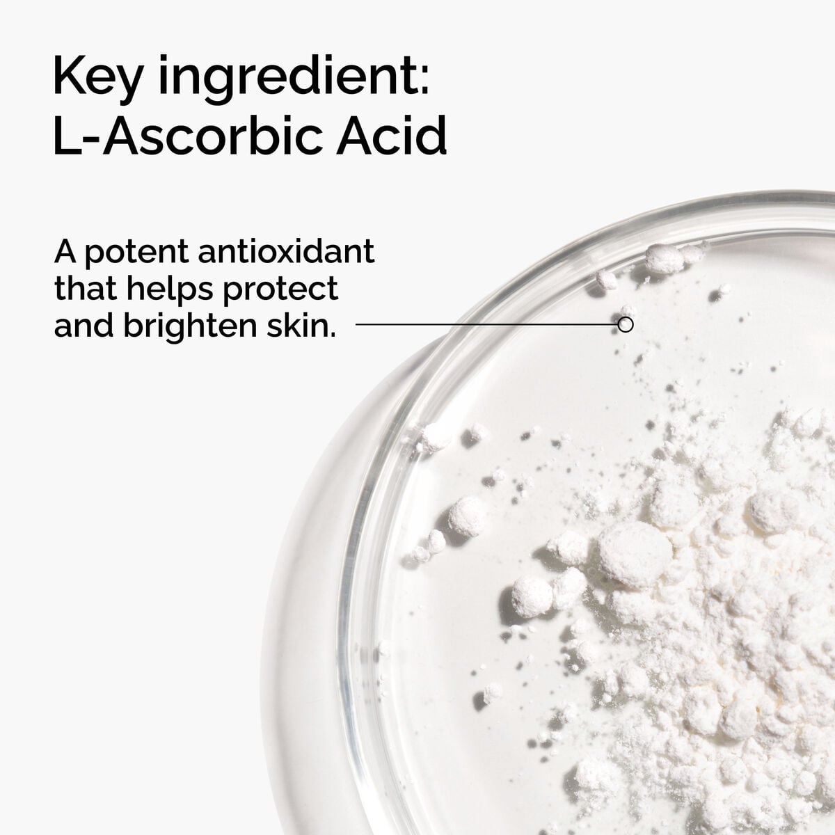 100-l-ascorbic-acid-powder-b3 FY25-D41247-ORD-Web-PDP-100-LAscb-Pwd-1x1-EN-2a.jpg