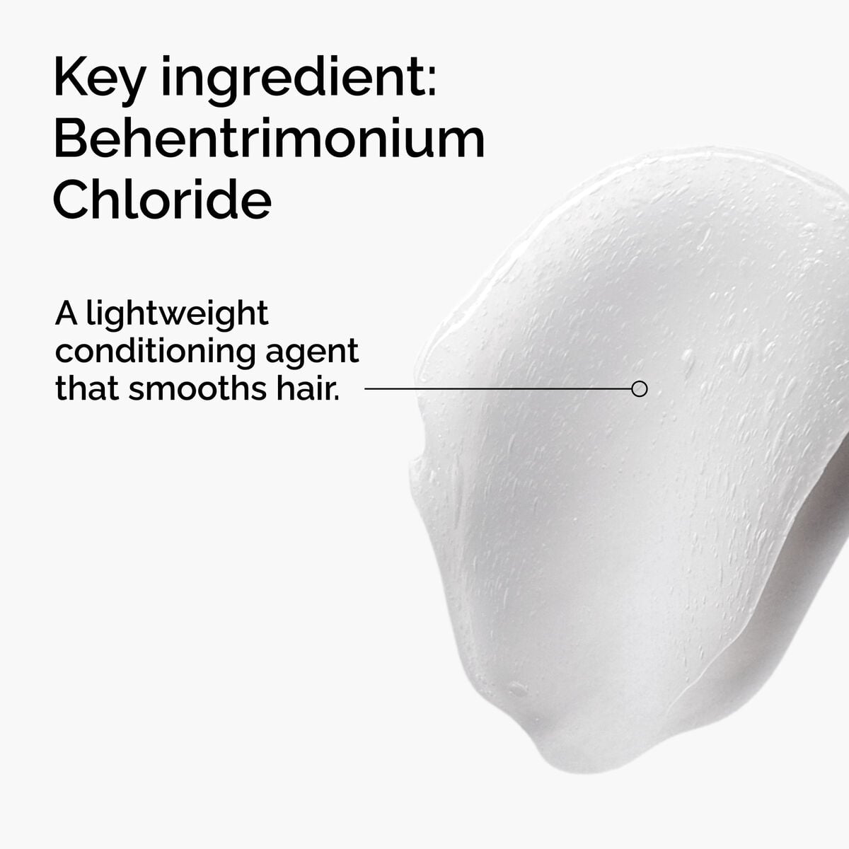 behentrimonium-chloride-2-conditioner-x9 FY25-D41247-ORD-Web-PDP-BTC-1x1-EN-2a.jpg