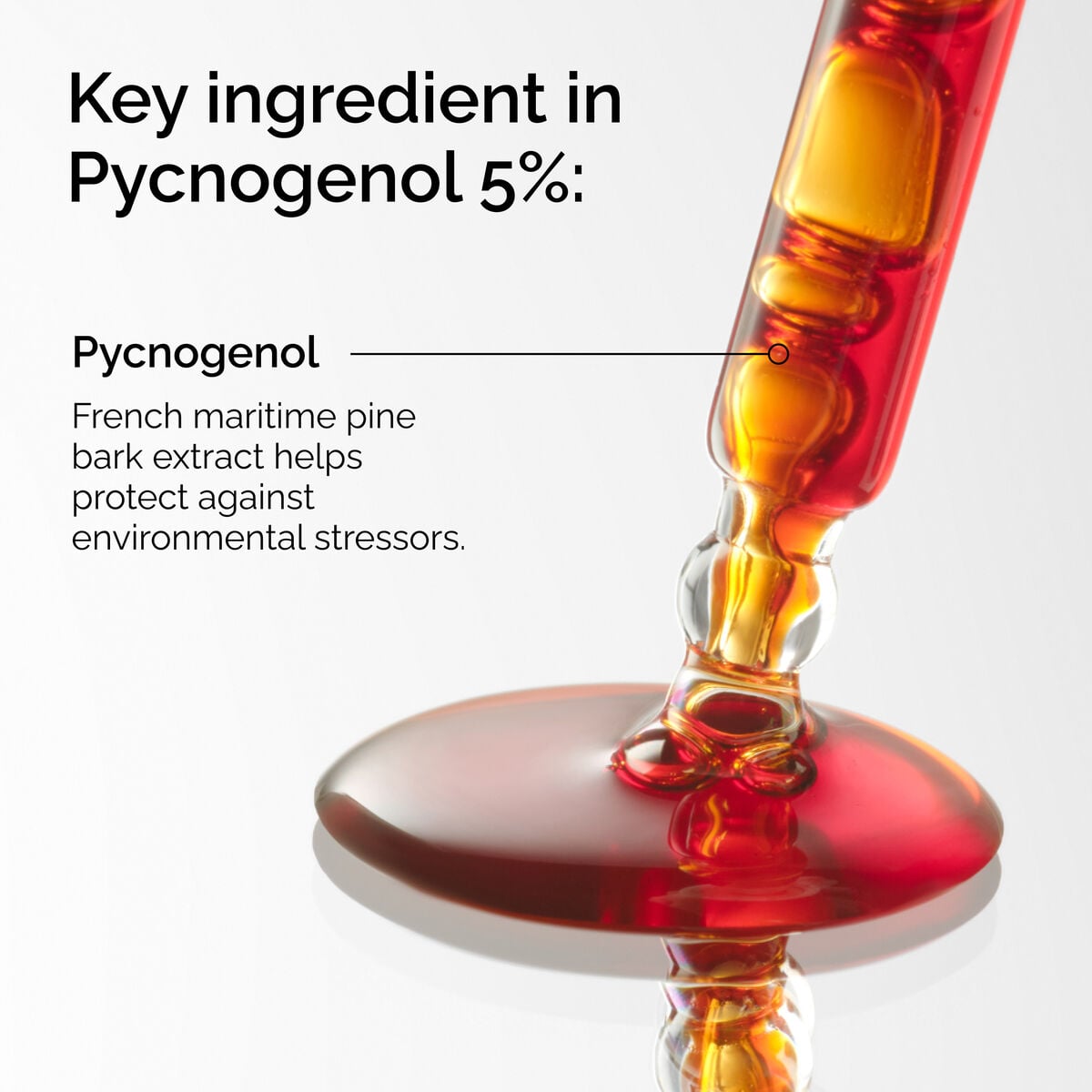 pycnogenol-5-j6 FY25-D41247-ORD-Web-PDP-Pyc-5pct-1x1-EN-2a.jpg