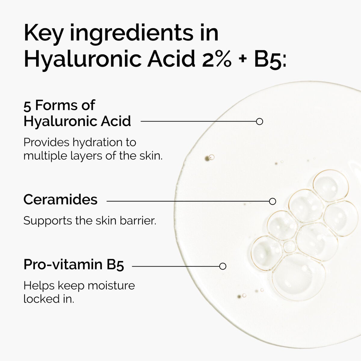 hyaluronic-acid-2-b5-with-ceramides-g0 ord-hyaluronic-acid-2pct-b5-hydrating-serum-ingredients-graphic.jpg