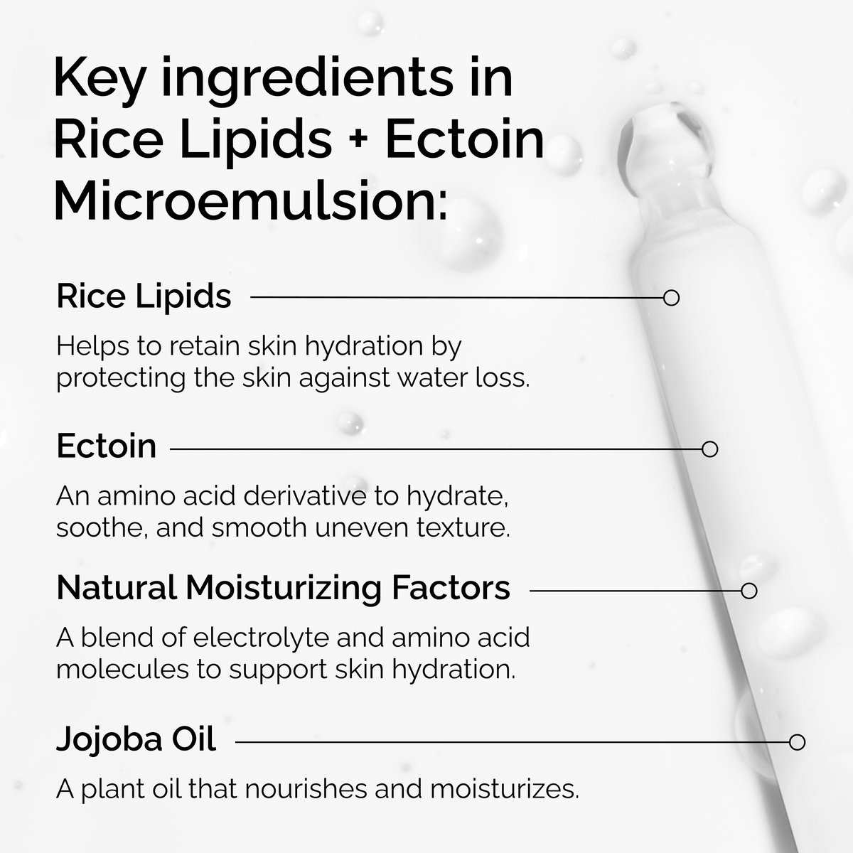 rice-lipids-ectoin-microemulsion-u6 ord-rice-lipids-ectoin-microemulsion-key-ingredients.png