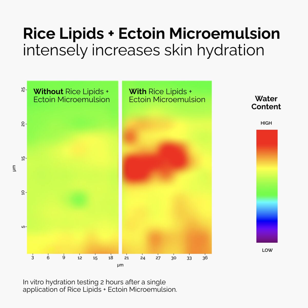 rice-lipids-ectoin-microemulsion-u6 ord-rice-lipids-ectoin-microemulsion-thermal-before-after.jpg